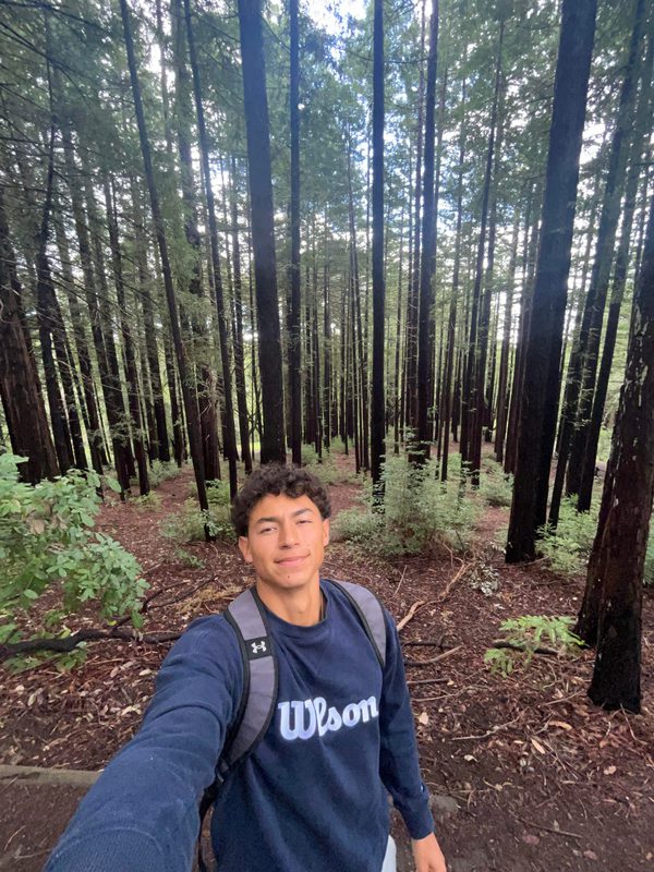 Felipe taking a selfie among redwood trees