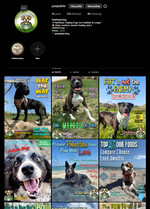 PawPalate Blog Content